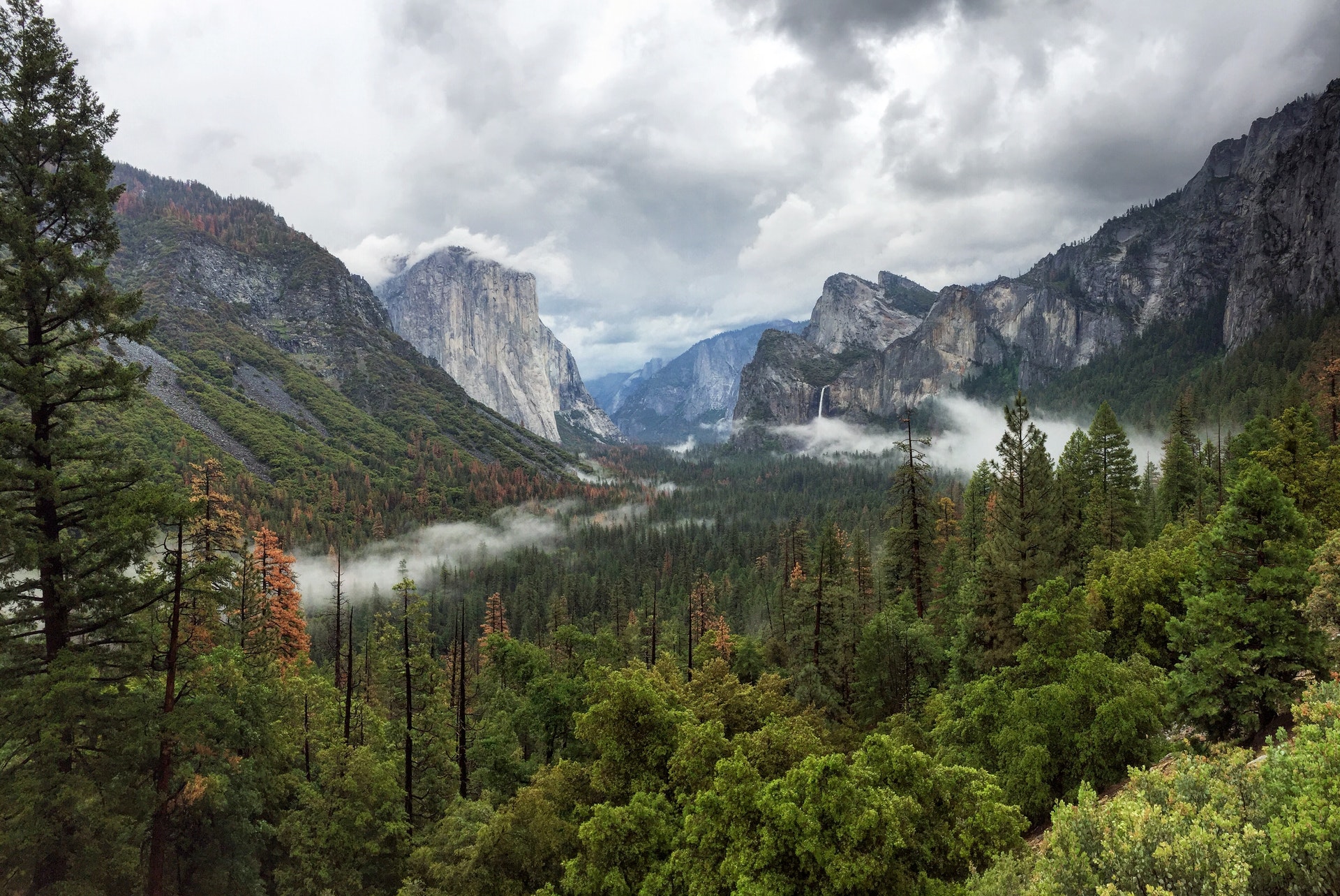 Yosemite Valley View of Yosemite valley